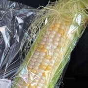 ヒメ日記 2025/07/13 15:29 投稿 玲那(れいな) チューリップ宇都宮店