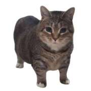 ヒメ日記 2025/07/31 10:29 投稿 玲那(れいな) チューリップ宇都宮店