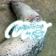 ヒメ日記 2025/10/10 03:19 投稿 玲那(れいな) チューリップ宇都宮店