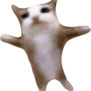 ヒメ日記 2025/11/13 11:42 投稿 玲那(れいな) チューリップ宇都宮店