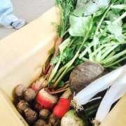 ヒメ日記 2025/11/15 08:49 投稿 玲那(れいな) チューリップ宇都宮店