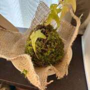 ヒメ日記 2025/11/17 11:49 投稿 玲那(れいな) チューリップ宇都宮店