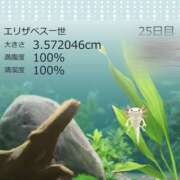 ヒメ日記 2025/07/19 20:29 投稿 わかな スピード梅田店