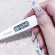 ヒメ日記 2025/09/16 01:19 投稿 わかな スピード梅田店