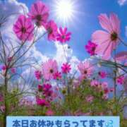 ヒメ日記 2025/09/20 09:55 投稿 蓮見【人妻コース】 久留米デリヘル358