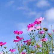 ヒメ日記 2025/09/26 10:11 投稿 蓮見【人妻コース】 久留米デリヘル358