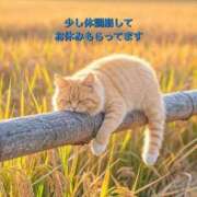 ヒメ日記 2026/01/15 14:21 投稿 蓮見【人妻コース】 久留米デリヘル358