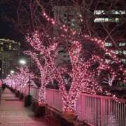 ヒメ日記 2025/12/24 17:20 投稿 らん 性腺熟女100％（デリヘル市場）