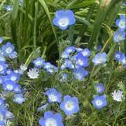 ヒメ日記 2026/05/07 12:53 投稿 まな Vitamin〜ビタミン〜