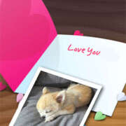 珠奈-じゅな【FG系列】 つるとんたん♡ ほんとうの人妻 厚木店【FG系列】