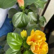 ヒメ日記 2025/09/06 12:42 投稿 のぞみ 熟女の風俗最終章　越谷店