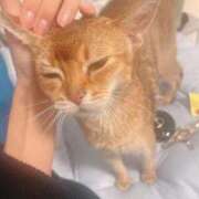 ヒメ日記 2025/09/07 12:42 投稿 のぞみ 熟女の風俗最終章　越谷店