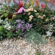 ヒメ日記 2025/10/16 11:14 投稿 のぞみ 熟女の風俗最終章　越谷店