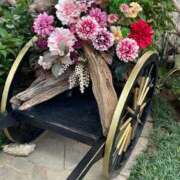 ヒメ日記 2025/11/01 15:23 投稿 のぞみ 熟女の風俗最終章　越谷店