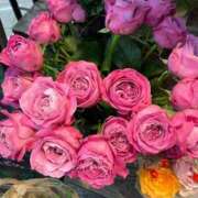 ヒメ日記 2025/11/02 12:45 投稿 のぞみ 熟女の風俗最終章　越谷店