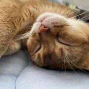 ヒメ日記 2025/12/09 21:42 投稿 のぞみ 熟女の風俗最終章　越谷店