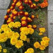 ヒメ日記 2025/12/10 03:52 投稿 のぞみ 熟女の風俗最終章　越谷店