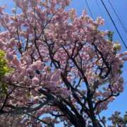 ヒメ日記 2026/04/13 18:31 投稿 のぞみ 熟女の風俗最終章　越谷店