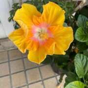 ヒメ日記 2025/08/27 15:02 投稿 のぞみ 熟女の風俗最終章 西川口店