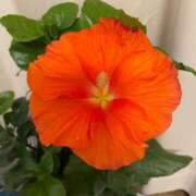 ヒメ日記 2025/09/26 03:42 投稿 のぞみ 熟女の風俗最終章 西川口店