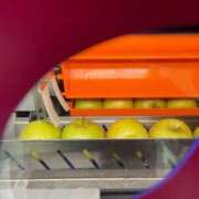 ヒメ日記 2025/10/13 19:42 投稿 のぞみ 熟女の風俗最終章 西川口店