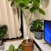 ヒメ日記 2025/10/20 21:52 投稿 のぞみ 熟女の風俗最終章 西川口店