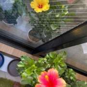 ヒメ日記 2025/10/27 07:32 投稿 のぞみ 熟女の風俗最終章 西川口店