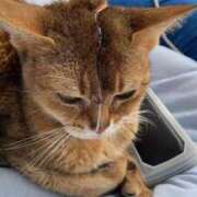 ヒメ日記 2026/01/28 17:42 投稿 のぞみ 熟女の風俗最終章 西川口店