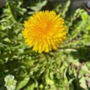 ヒメ日記 2026/03/09 14:40 投稿 のぞみ 熟女の風俗最終章 西川口店