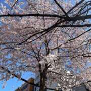 ヒメ日記 2026/03/27 17:50 投稿 のぞみ 熟女の風俗最終章 西川口店