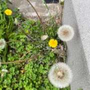 ヒメ日記 2026/03/28 14:22 投稿 のぞみ 熟女の風俗最終章 西川口店