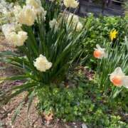 ヒメ日記 2026/04/02 14:34 投稿 のぞみ 熟女の風俗最終章 西川口店