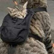 ヒメ日記 2026/04/06 16:40 投稿 のぞみ 熟女の風俗最終章 西川口店