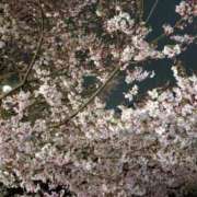 ヒメ日記 2026/03/20 14:29 投稿 友梨(ゆり) エリートな人妻たち新宿