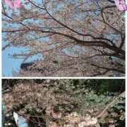 ヒメ日記 2026/04/04 09:29 投稿 友梨(ゆり) エリートな人妻たち新宿