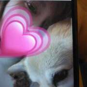 ヒメ日記 2025/06/26 00:19 投稿 吉永 あなたに逢いたくて