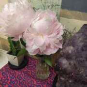 ヒメ日記 2025/06/28 01:37 投稿 吉永 あなたに逢いたくて