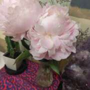 ヒメ日記 2025/07/06 01:47 投稿 吉永 あなたに逢いたくて