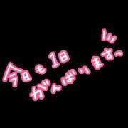 ヒメ日記 2025/09/03 15:23 投稿 体験入店なお 艶妻