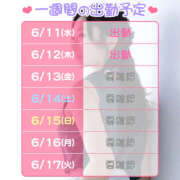 ヒメ日記 2025/06/11 15:36 投稿 ゆりか 鎌倉御殿 新館