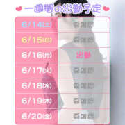 ヒメ日記 2025/06/14 11:21 投稿 ゆりか 鎌倉御殿 新館