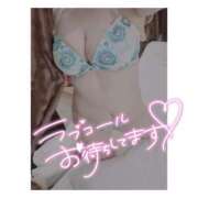 ヒメ日記 2026/02/24 20:20 投稿 ゆみか ミセス クリエーション