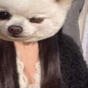 ヒメ日記 2025/10/11 14:13 投稿 はるな PREMIUMー萌ー