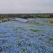 ヒメ日記 2025/05/29 18:00 投稿 はるか 若妻淫乱倶楽部 久喜店