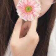 ヒメ日記 2025/08/19 13:26 投稿 ほだか 奥様メモリアル