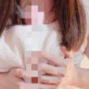 ヒメ日記 2025/10/29 11:26 投稿 ほだか 奥様メモリアル