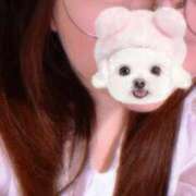 ヒメ日記 2025/12/11 16:26 投稿 ほだか 奥様メモリアル