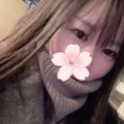 ヒメ日記 2025/12/14 17:26 投稿 ほだか 奥様メモリアル