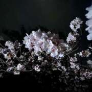 ヒメ日記 2025/05/28 22:11 投稿 結愛/ゆあ 贅沢なひと時