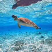 ヒメ日記 2025/06/06 01:24 投稿 結愛/ゆあ 贅沢なひと時